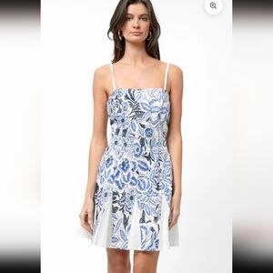 Adelyn RaeBruan Fit and Flare Embroidered Mini Dress 2️⃣